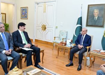 مخلوط حکومت میں شامل جماعتوں کے باہمی تعاون سے قومی ترقی کا سفر مزید تیز کیا جا سکتا ہے، وزیر اعظم محمد شہباز شریف کی وزیر اعلیٰ سندھ سید مراد علی شاہ سے گفتگو