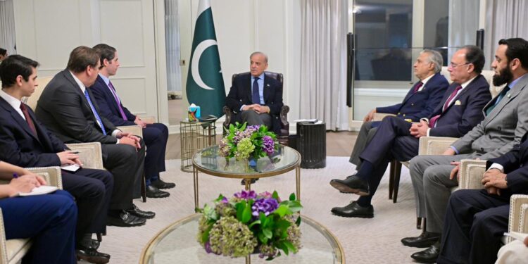 وزیرِ اعظم شہباز شریف کی ڈی ایف سی کے عہدیداران سے ملاقات ، توانائی، کان کنی و معدنیات، زراعت اور آئی ٹی کے شعبوں میں فنانسنگ میں اضافہ پرزور دیا