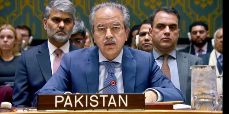 بھارت سب سے بڑا اسلاموفوبک ملک ہے، پاکستانی مندوب کا اقوام متحدہ کی جنرل اسمبلی کے اجلاس سے خطاب