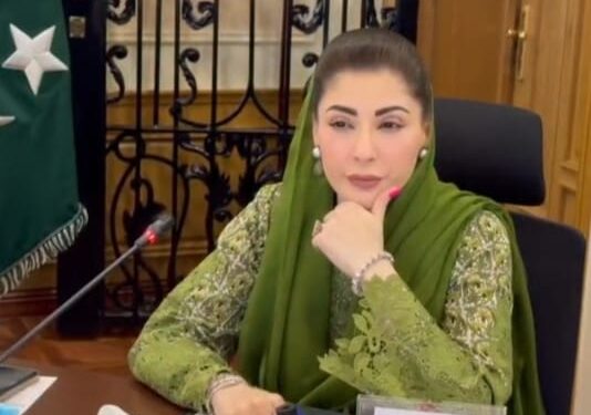 وزیراعلیٰ مریم نواز شریف کی زیر صدارت پنجاب کابینہ کا پہلا مکمل ویڈیو لنک اجلاس،کفایت شعاری کیلئے وزراء اور افسران کی آن لائن شرکت