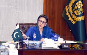 ڈاکٹر شذرہ منصب کی زیرصدارت اجلاس، وزارتِ اطلاعات و نشریات میں چین۔ پاکستان انفارمیشن کوریڈور سیکریٹریٹ کے قیام کا فیصلہ