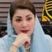 زیروویسٹ ڈے پر ہر شہری کو پلاسٹک کے استعمال کو ترک کرنے کا عہد کرنا چاہیے: وزیراعلیٰ مریم نواز شریف کی اپیل