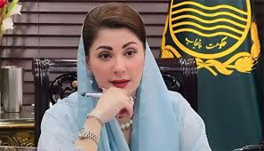 وزیراعلیٰ پنجاب مریم نوازشریف کا امن کیلئے کثیرالجہتی اور سفارت کاری کے عالمی دن پر پیغام
