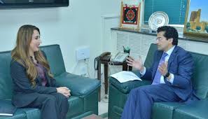 وفاقی وزیر برائے پٹرولیم علی پرویز ملک سے برطانیہ کی ہائی کمشنر جین میریٹ کی ملاقات