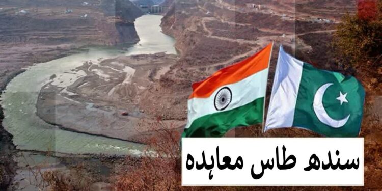 پاکستان سندھ طاس معاہدہ کے مسئلہ کو عالمی فورمز پر اٹھائے، آبی ماہرین