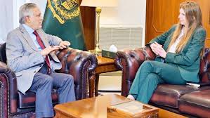 نائب وزیراعظم محمد اسحاق ڈار سے برطانوی ہائی کمشنر جین میریٹ کی ملاقات، علاقائی صورتحال پر تبادلہ خیال