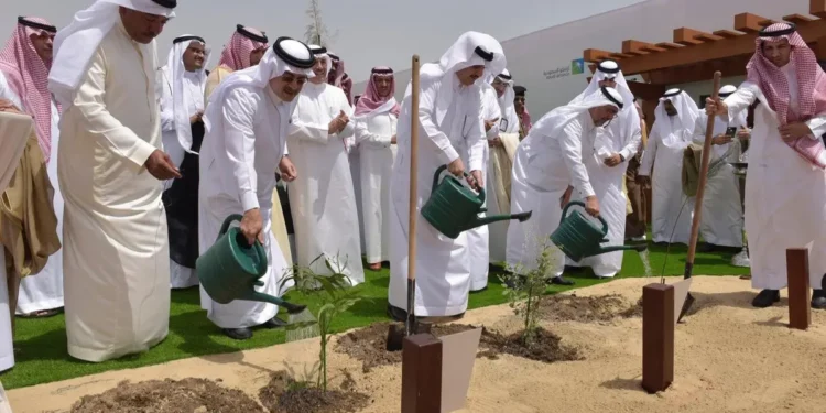 سعودی عرب، بقیق میں پودے لگانے اور سبزے کو بڑھانے کی مہم مکمل