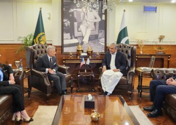 وفاقی وزیر داخلہ سے امریکہ کے اسٹنٹ وزیر خارجہ جنوبی و وسطی ایشیائی امور ایس پال کپور کی ملاقات،پاک امریکہ تعلقات اور مشرق وسطیٰ کی تازہ ترین صورتحال پر گفتگو