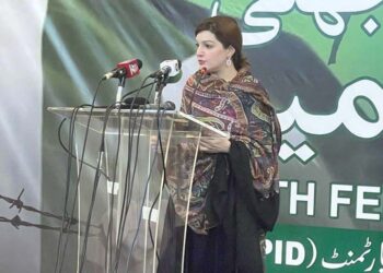 بھارت ظلم، جبر اور گرفتاریوں کے ذریعے کشمیری عوام کی آواز کو دبانا چاہتا ہے،مشعال ملک