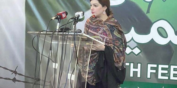 بھارت ظلم، جبر اور گرفتاریوں کے ذریعے کشمیری عوام کی آواز کو دبانا چاہتا ہے،مشعال ملک