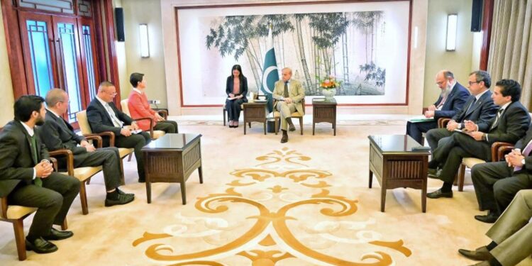 وزیراعظم شہباز شریف کی ہانگژو میں مختلف اہم چینی کمپنیوں کے اعلیٰ عہدیداران سے ملاقاتیں، سرمایہ کاری، قابل تجدید توانائی سمیت بزنس ٹو بزنس تعاون کی اہمیت پر زور
