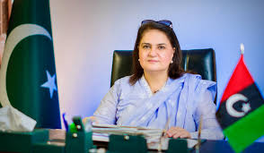 معرکہ حق نے پاکستان کا عالمی مقام بلند کیا، آج ہر محب وطن پاکستانی سر اٹھا کر چل رہا ہے،سینیٹر روبینہ خالد