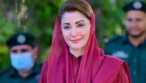وزیراعلی مریم نواز شریف کا سابق صوبائی وزیر و پارٹی رہنما ملک ندیم کامران کے انتقال پر دکھ اور افسوس کا اظہار