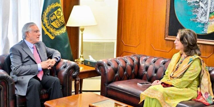 اسحاق ڈار سے چیئرپرسن پیمرا کی ملاقات،امن کے فروغ میں وزارت خارجہ کی کاوشیں قابلِ تحسین قرار