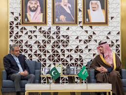 وفاقی وزیرداخلہ کی سعودی ہم منصب سے ملاقات، باہمی دلچسپی کے امور بارے تبادلہ خیال کیا