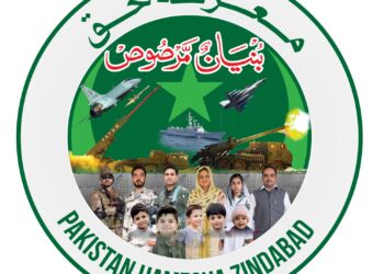 ہمارالہو اور ہماری دعائیں وطن کے نام ہیں، ہم تکلیف اور طوفان میں اپنے وطن کے ساتھ کھڑے ہیں، تارکین وطن