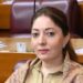 آپریشن بنیان مرصوص کی کامیابی قومی اتحاد اور سفارتی فتح کی علامت ہے، شرمیلا فاروقی