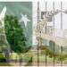 ایشیائی ترقیاتی بینک نے پاکستان کے لیے 70 کروڑ ڈالر قرض کی منظوری دے دی