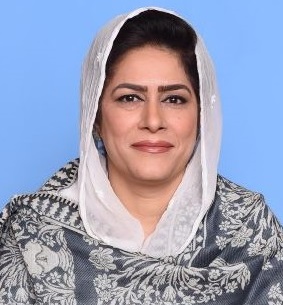 ہندوستان کے حملے کا منہ توڑ جواب دے کر عسکری قیادت نے نئی تاریخ رقم کی، اپوزیشن ملک دشمنی کا ایجنڈا ترک کرے، کرن ڈار