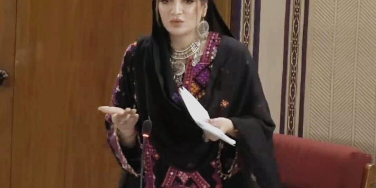"تم اپنی خواہشوں پر ٹیکس لگا کے کبھی میرے غریب کو جینے کا آسرا دے دو”محترمہ فرح عظیم شاہ،