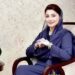 موسیقی امن کا سفیر بن کر محبت اور امن کے پیغام کو سرحدوں کے پار پہنچا تی ہے.مریم نوازشریف
