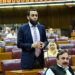 حکومت نے ریلیف پر مبنی بجٹ دیا، مہنگائی سنگل ڈیجیٹ پر آ چکی ہے، عطاء اللہ تارڑ