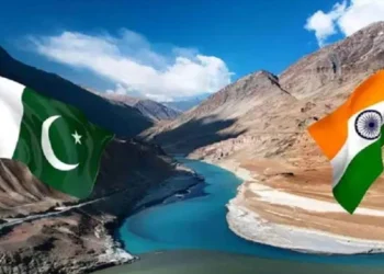 بھارت کی جانب سے سندھ طاس معاہدے کی خلاف ورزیوں کے باعث پاکستان میں دریاؤں کے کنارے جنگلات خطرات سے دوچار