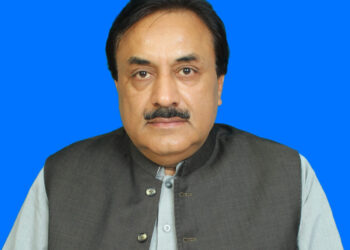 کشمیری عوام کی حقِ خودارادیت کی جدوجہد عالمی ضمیر کا امتحان ہے، ڈپٹی چیئرمین سینیٹ سیدال خان ناصر