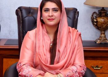 چائلڈ پروٹیکشن بیورو پنجاب میں زیر کفالت بچوں کو پیشہ وارانہ مہارتوں کی فراہمی جاری ہے،سارہ احمد