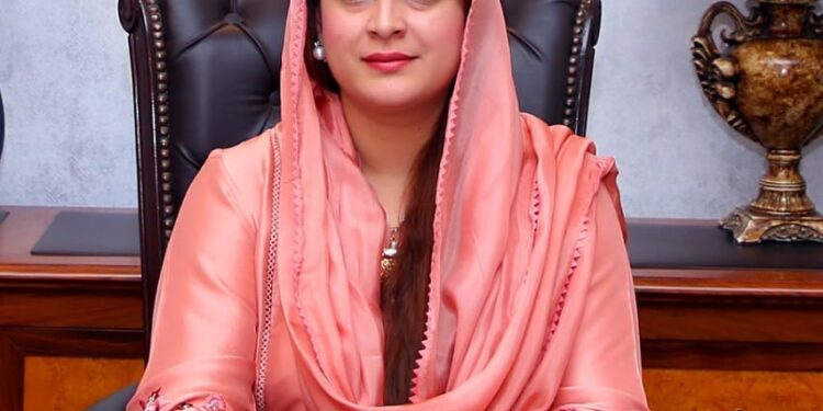 چائلڈ پروٹیکشن بیورو پنجاب میں زیر کفالت بچوں کو پیشہ وارانہ مہارتوں کی فراہمی جاری ہے،سارہ احمد