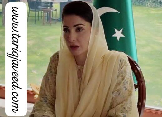 پنجاب کو شدید گرمی کی لہر اور ممکنہ سیلاب کے اثرات سے محفوظ رکھنے کے لیے پیشگی حکمت عملی تیار،ہر محکمہ الرٹ، ہر ضلع تیار