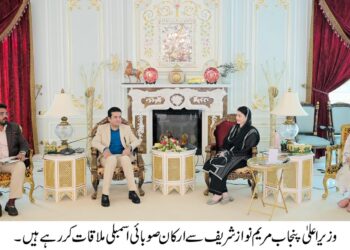 وزیراعلیٰ مریم نواز شریف سے ارکان صوبائی اسمبلی کی ملاقات، عوامی مسائل کے حل کیلئے فوری اقدامات کا حکم: ارکان اسمبلی کاخراج تحسین