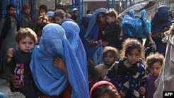 بلوچستان میں کل سے افغان مہاجرین کے خلاف بڑے پیمانے پر کریک ڈاؤن کا امکان: