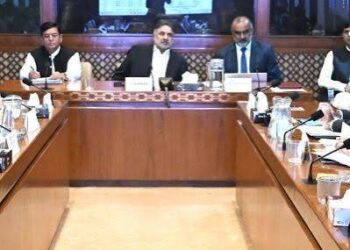 وفاقی وزیر بحری امور کی بیجنگ میں چائنا ریلوے الیکٹریفکیشن انجینئرنگ گروپ کمپنی کے نائب صدر سے ملاقات