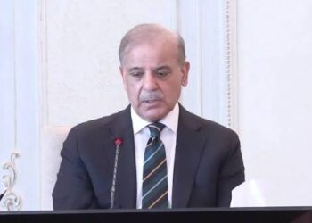 پاکستان، اقوام متحدہ کی سلامتی کونسل کی قراردادوں کے مطابق، جموں و کشمیر کے عوام کے ناقابل تنسیخ حقِ خودارادیت کی اصولی حمایت پر ثابت قدم ہے، وزیراعظم محمد شہباز شریف