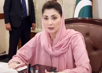 ”اپنا مویشی…………اپنا ہی روزگار“ وزیراعلیٰ مریم نواز شریف کا دیہی خواتین کو معاشی طور پرخودمختار بنانے کے عزم کا اعادہ