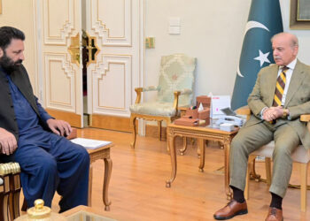 گلگت بلتستان کے عوام کی فلاح و بہبود کے لیے نو منتخب حکومت کے ساتھ مل کر کام کرنے کے لیے پر عزم ہیں،وزیراعظم شہباز شریف