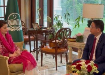 وزیراعلیٰ مریم نواز شریف سے اوورسیز پاکستانیز فاؤنڈیشن کے وفد کی ملاقات