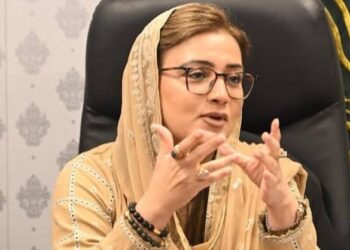پوری پاکستانی قوم اپنے کشمیری بھائیوں کی تحریکِ آزادی کو خراجِ تحسین پیش کرتی ہے، وزیر اطلاعات پنجاب