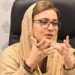 پوری پاکستانی قوم اپنے کشمیری بھائیوں کی تحریکِ آزادی کو خراجِ تحسین پیش کرتی ہے، وزیر اطلاعات پنجاب