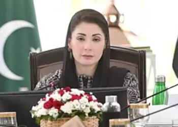 وزیراعلیٰ مریم نواز شریف کی صوبہ بھر میں شعبہ صحت میں بہتری کے لئے کاوشوں کا عالمی سطح پراعتراف
