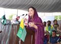 پاکستان ہر سفارتی، سیاسی اور بین الاقوامی فورم پر کشمیری عوام کی آواز بلند کرتا رہے گا، وجیہہ قمر