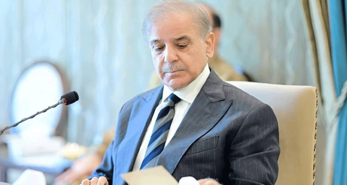 وزیر اعظم محمد شہباز شریف کا انڈونیشیا میں زلزلے کے نتیجے میں قیمتی انسانی جانوں کے ضیاع اور بڑے پیمانے پر ہونے والی تباہی پر دکھ اور افسوس کا اظہار